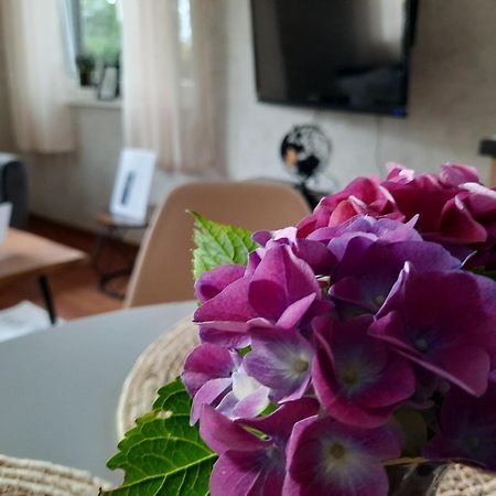 Meerhuuske Kaethe Südbrookmerland المظهر الخارجي الصورة